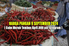 Harga Pangan 9 September 2024 : Cabe Merah Sentuh Angka Rp41.000 per Kilogram !