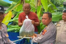 Polrestabes Palembang Tebar 1.000 Bibit Ikan Nilla