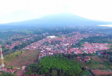 Bandar Negara Ditargetkan Jadi Kabupaten Baru Pemekaran Lampung Selatan : Ini Wilayah yang Bergabung !