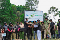 Pulihkan Hutan Bekas Tambang, Aksi Nyata Kelompok Tani Selamatkan Lingkungan bersama BRI Menanam-Grow & Green