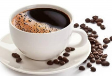Miliki Aroma dan Rasa Pahitnya yang Khas, Ternyata Inilah Manfaat dan Bahaya Mengkonsumsi Kopi