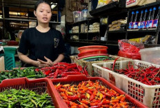 Update Harga Pangan 5 Januari 2026: Cabai Rawit Rp58.796, Bawang Merah Rp39.173 per Kilogram !