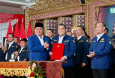 Teddy Dipercaya Menjabat Bendahara Karang Taruna Provinsi Sumsel