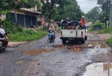 Warga Tanjung Batu Inisiatif Perbaiki Jalan Rusak : Pemprov Sumsel Dituding Belum Bertindak !