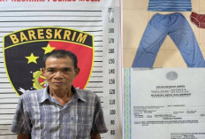 Cabuli Anak Tetangga Kakek Warga Keluang di Amankan 