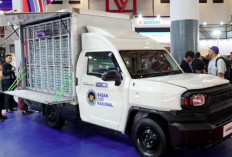 Toyota Perkenalkan Hilux Rangga, Kendaraan Niaga Fleksibel untuk UMKM hingga Pertambangan