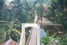 Fakta Unik Tanjung Kurung di OKU Selatan : Desa Terpencil yang Menyimpan Harta Karun di Sumatera Selatan !