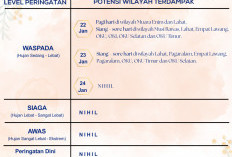 Cuaca Tak Menentu, BMKG Minta Warga Sumsel Waspada Hujan dan Angin Kencang 