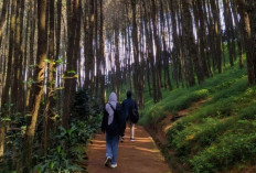 Tren Wisata Dunia 2026 dan Gerakan Indonesia ASRI