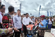 Wapres Gibran Dorong Penguatan Produksi Tani untuk Program MBG di Kupang