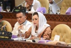 Kenaikan PPN 12 Persen Merupakan Produk Legislasi Ketika PDIP Berkuasa