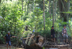 Polres Muratara Tindak Tegas Penambangan Emas Tanpa Izin di Ulu Rawas
