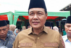 Imbau Warga Rayakan Tahun Baru Tanpa Hura-hura