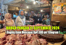 Harga Pangan 11 September 2024 : Daging Ayam Ras Naik Mencapai Rp41.080 per Kilogram !