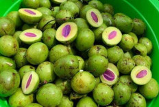 Buah Gondorio : Keunikan, Manfaat, dan Potensi di Dunia Kesehatan