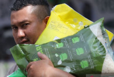 Masa Depan Beras SPHP: Dari Subsidi ke Ketahanan Pangan Berkeadilan