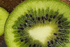 Buah Kiwi: Si Kecil Kaya Nutrisi yang Makin Populer di Indonesia
