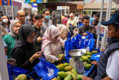 Kembali Digelar, Bazar UMKM BRILiaN Bantu Berdayakan dan Perluas Pasar Pelaku Usaha