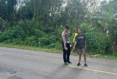 Hindari Lubang Jalan, Pengendara Scoopy Tewas Ditabrak Truk 