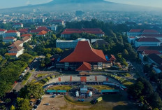 10 Provinsi yang Memiliki Perguruan Tinggi Paling Banyak di Indonesia : Juaranya Bukan Jogjakarta !