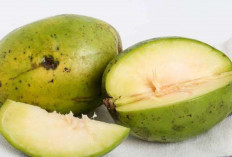 Atasi Keracunan dan Sembuhkan Radang Telinga dengan Buah Kedondong