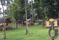Desa Wisata Manau Kuning: Surga Alam di Tepi   Danau Kecamatan Jirak Jaya !