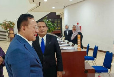 DPD Dorong Pemda Kreatif Tingkatkan PAD