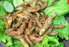 Dari Sungai ke Meja Makan, Ikan Seluang Crispy Jadi Favorit Pecinta Kuliner
