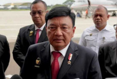Tindak Pihak yang Sengaja Bakar Hutan untuk Buka Lahan