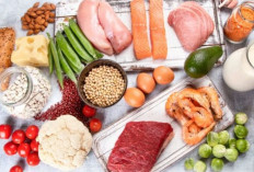 Pola Makan Bergizi Seimbang, Kunci Mewujudkan Badan Sehat di Setiap Tahap Usia