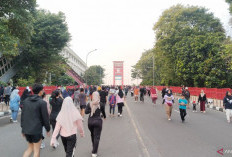 Pemkot Tangani 540 Kasus DBD