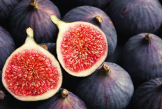 Obati Asam Urat dan Kutil dengan Getah Buah Tin