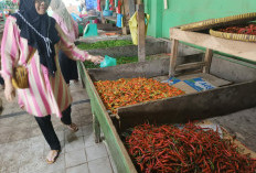 Harga Cabai Merah dan Rawit di OKU Tembus Rp 90.000 per Kilogram