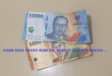 Jangan Lewatkan! Cara Klaim Saldo DANA Rp165 Ribu Secara Gratis, Terbatas untuk 100 Pengguna