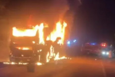 Bus AKAP PO Palala Jurusan Jakarta-Padang Terbakar di Jalintim Muba, Begini Kondisi 38 Penumpang 