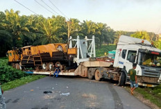 Ruas Jalan Palembang-Sekayu Lumpuh Total : Pengendara Diimbau Sabar Selama Evakuasi Truk Trailer di Lais !