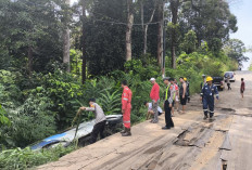 Diduga Sopir Mengantuk, Mobil Rombongan Jurnalis TVRI Terjun ke Semak