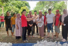 PDIP Muara Enim Salurkan 328 Paket Daging Kurban