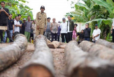 Sat-Set, Bupati OKI Cek Langsung Jembatan Rusak di Desa Kandis