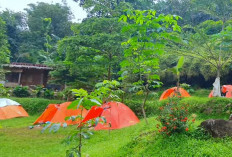 Goes Camp Sentul: Tempat Camping Nyaman dan Terjangkau di Tengah Alam Sentul yang Menenangkan