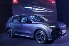 5 Pilihan Mobil Listrik Murah di IIMS 2026: Harga Mulai Rp180 Jutaan !