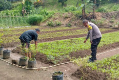 Dorong Pemanfaatan Lahan Produktif 