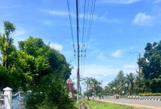 Pemkab OKI Rutin Tertibkan Kabel Udara, Provider Nakal Masih Berulah