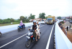 Jembatan Layang Gandus Resmi Beroperasi: Jadi Proyek Percontohan Konstruksi Modern di Sumsel !