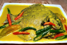 Nikmati Kelezatan Gulai Ikan Bawal, Kuliner Tradisional yang Kaya Rempah