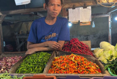 Harga Pangan 18 Maret 2025 : Cabai Rawit Tembus Rp89.400 per Kilogram, Telur Ayam Rp30.150 per Kilogram