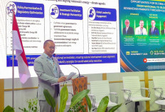 PLN Memperkuat Jalur Menuju Pasar Karbon Global