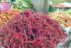 Harga Pangan 20 November 2024 : Cabai Merah Keriting Turun Drastis hingga Rp25.980 per Kilogram !