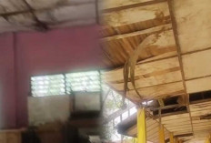Flapon Jebol Hingga Dinding Retak-Retak di SMPN 1 Lubuk Keliat, Pemerintah Janjikan Rp1,4 Milyar