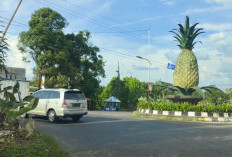 Mengapa Prabumulih Dijuluki Kota Nanas: Padahal Bukan Penghasil Nanas Terbesar di Sumatera Selatan !